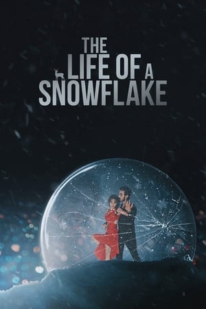 Image The Life of a Snowflake