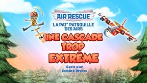 La Pat' Patrouille des Airs : Une cascade trop extrême