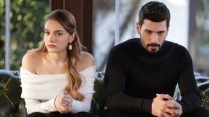 Hudutsuz Sevda: 1×22