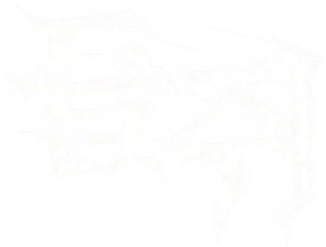 들쥐