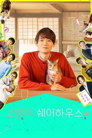 Image 고양이 쉐어하우스