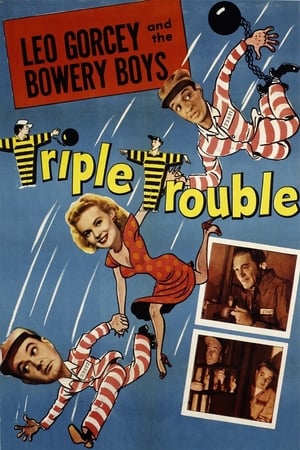 Triple Trouble poster