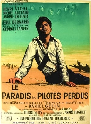 Poster The Hell of Lost Pilots 1949