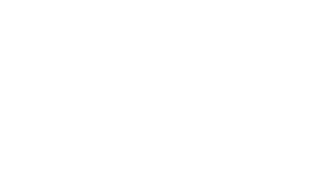 Eterno 831 — Logos 2