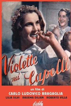 Violette nei capelli poster