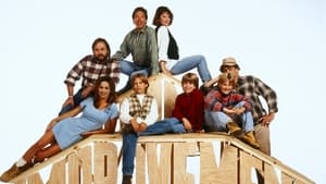 poster Home Improvement