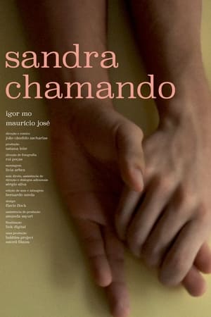 Poster Sandra Calling (2017)
