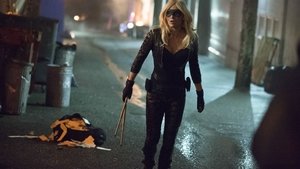 Arrow S02E14