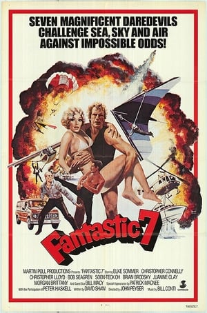 Poster The Fantastic Seven 1979