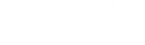 Bronx SIU — Logos 2