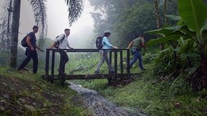 Brazil Land Nascentes de Paranapiacaba