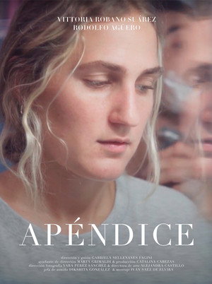Apéndice 4