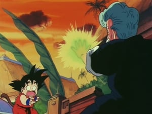 Dragon Ball - Dragon Ball - Saison 1 - Sangoku en pleine crise - image n°12