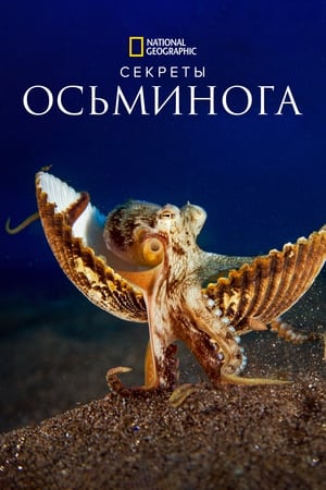 Image Секреты осьминога