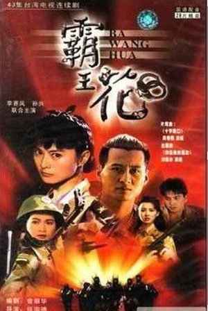 watch 霸王花 image poster