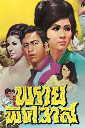 Poster พรายพิศวาส 1968