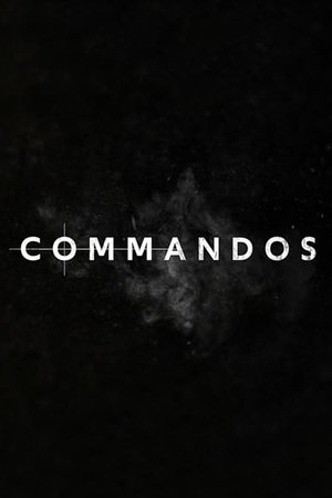 Image Commando's