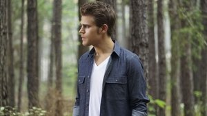 The Vampire Diaries 7 – Episodio 2