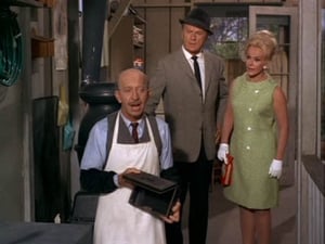 Green Acres Not Guilty