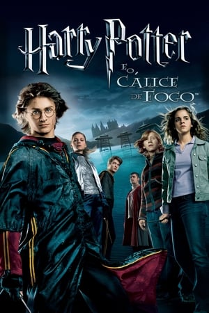 Poster Harry Potter e o Cálice de Fogo 2005
