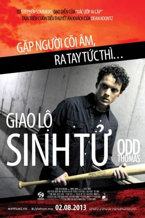 Poster Giao Lộ Sinh Tử 2013