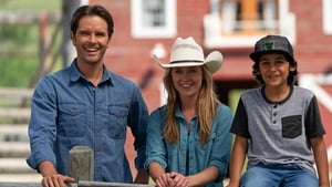 Heartland – Paradies für Pferde: 12×5