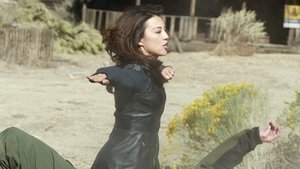 Marvel’s Agents of S.H.I.E.L.D. Season 1 Episode 11