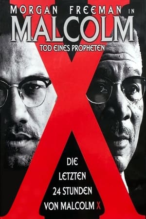 Image Malcolm X - Tod eines Propheten