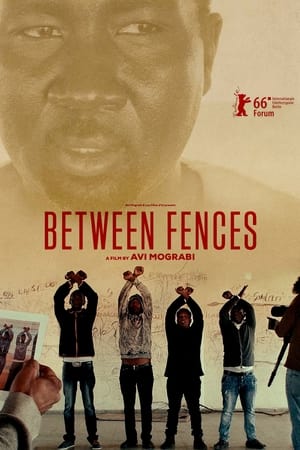 Poster Between Fences 2016