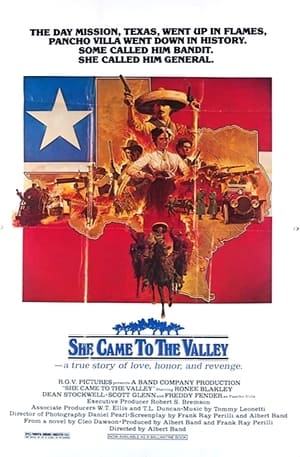 She Came To The Valley poster