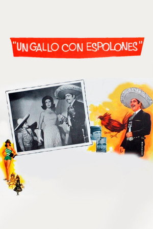 Image Un Gallo con Espolones