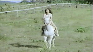 The Stallion 6