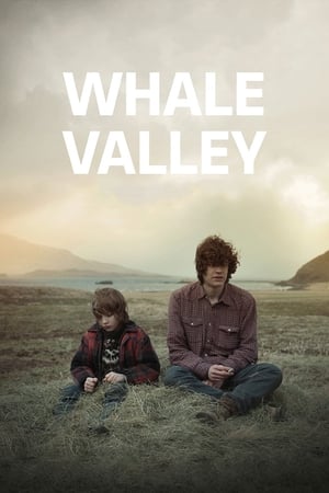 Poster Whale Valley 2013