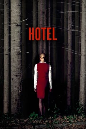 Poster Hotel (2004)