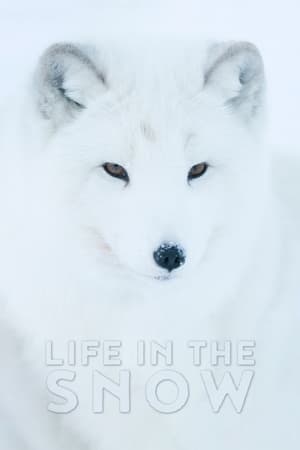 Poster di Life In The Snow
