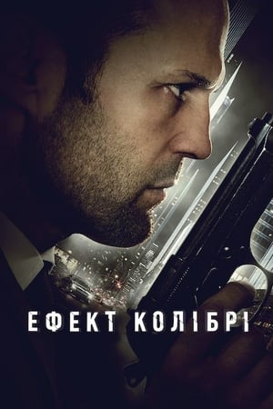 Poster Ефект колібрі 2013