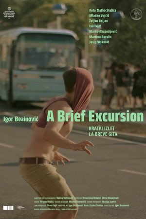 A Brief Excursion