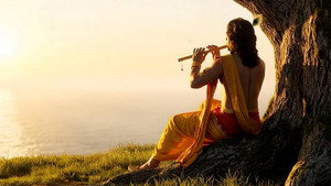 Mahabharat: Ek Dharmayudh The Night of Fire, The Dawn of Krishna