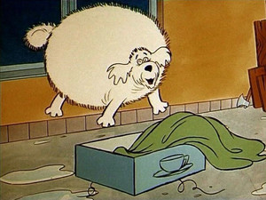 Adolars phantastische Abenteuer: 1×11