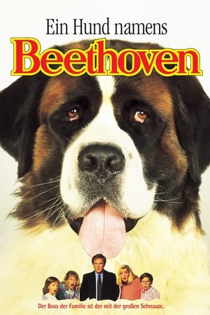 Poster Ein Hund namens Beethoven 1992