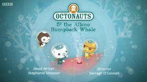 The Octonauts Season 1 Episode 14
