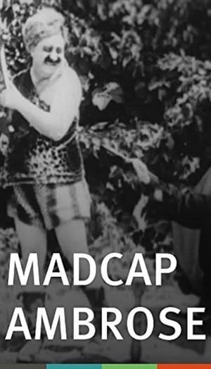 Madcap Ambrose 1916