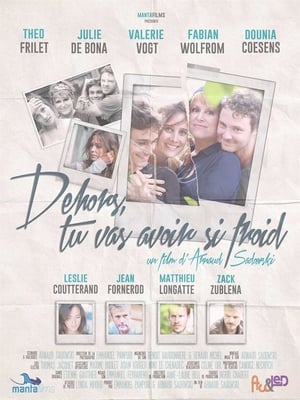 Poster Dehors, tu vas avoir si froid (2016)