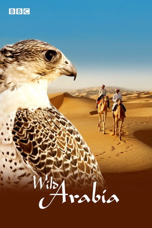 Wild Arabia