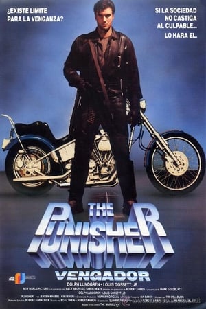 Poster The Punisher (Vengador) 1989