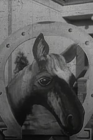 Poster Das Stacheltier - Ein Pferd müßte man haben (1961)