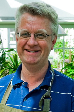 Drivhusdrømme