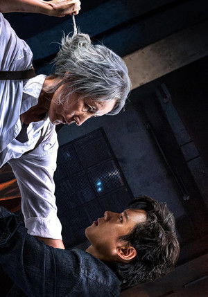 poster The Old Woman with the Knife