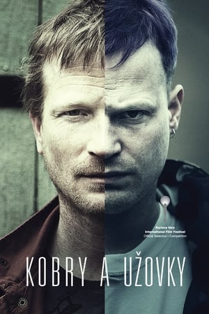Poster Kobry a Užovky 2015