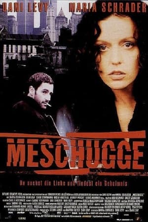 Poster Meschugge 1998